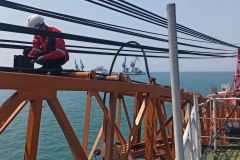 atmevo lmi pedestal crane