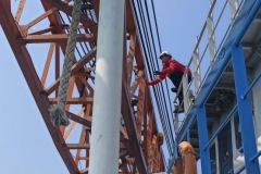 instalation lmi pedestal crane