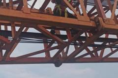 Service pedestal crane LMI
