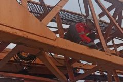 Part Lmi pedestal crane
