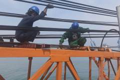 SLI for pedestal crane