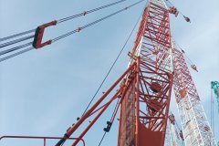 Crane system with Lmi